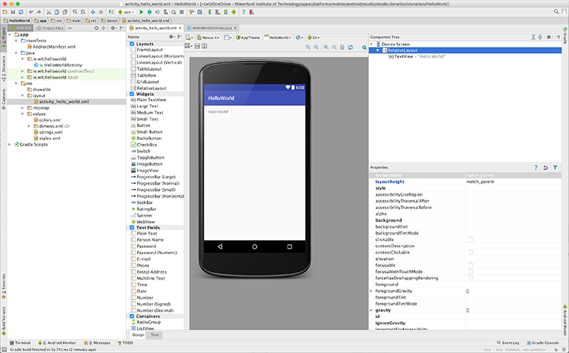 Figure 6: Project open in Layout View