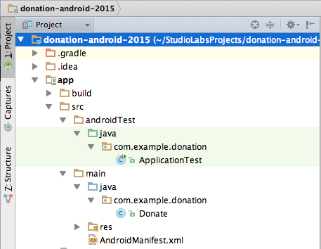 Figure 1: Project Structure pane